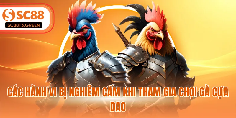 Cách hành vi bị nghiêm cấm khi tham gia chọi gà cựa dao