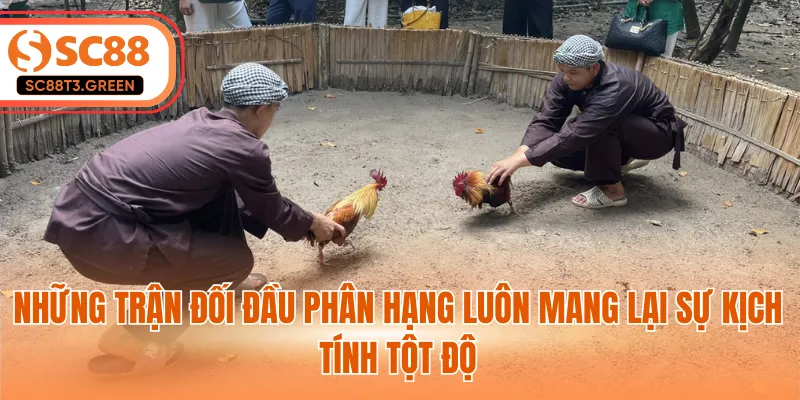 Những trận đối đầu phân hạng luôn mang lại sự kịch tính tột độ
